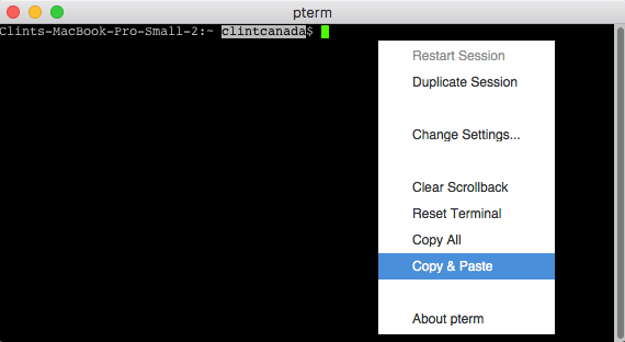 pterm-cut-copy-paste